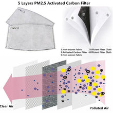 Load image into Gallery viewer, PM2.5 activated carbon filter for reusable cloth masks

