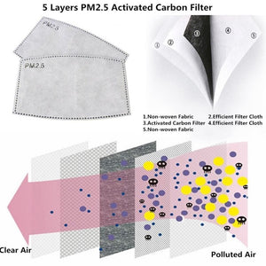 PM2.5 activated carbon filter for reusable cloth masks
