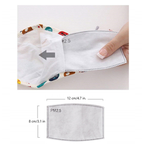 PM2.5 Mask Replacement Filters for Reusable Cloth Masks